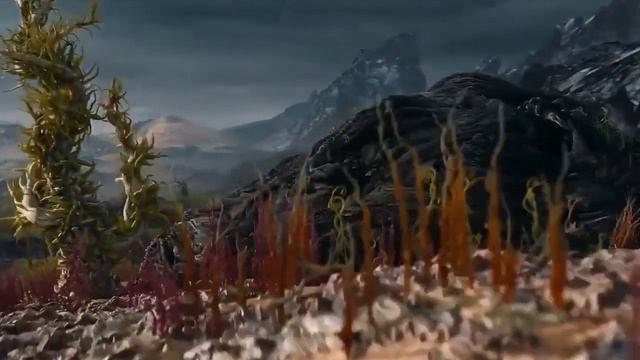 Удивительный и фантастический мир грибов смотреть онлайн