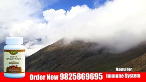 अनेकौ रोगहरुसँग लड्ने एक चमत्कारिक बुटी यार्चागुम्बा Yarchagumba extract iCare SUPER CORDYCEPS