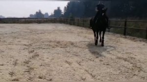 Про одну очень старательную лошадь. Которую зовут так же как Валегро, только по-русски.