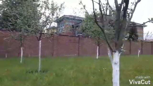 ХОЧИ МИРЗО ОМАД БАНАЗДИЙ БОҒЕ ГУШКИ ДАМБГИЙ 👍🏿👈👇 смотреть онлайн