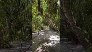 Cinnamon Hakuraa Huraa - Maldives