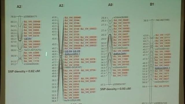 Prof. Deepak Pental смотреть онлайн