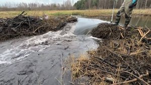 Строительство, расщистка дренажных каналов