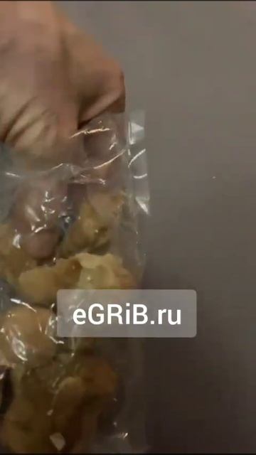 Мухомор и Ежовик в Белгороде смотреть онлайн