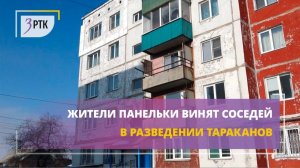 Жители панельки винят соседей в разведении тараканов