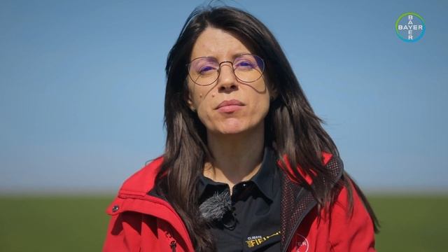 Evaluarea culturii de grâu și recomandările Bayer смотреть онлайн