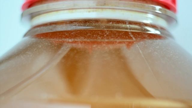 Manneken Pis, a Belgian witbier with Brettanomyces bruxellensis смотреть онлайн