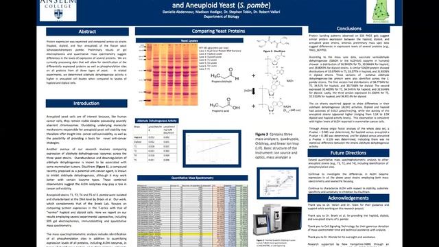 Protein Expression and Aldehyde Dehydrogenase Activity in S. Pombe Yeast