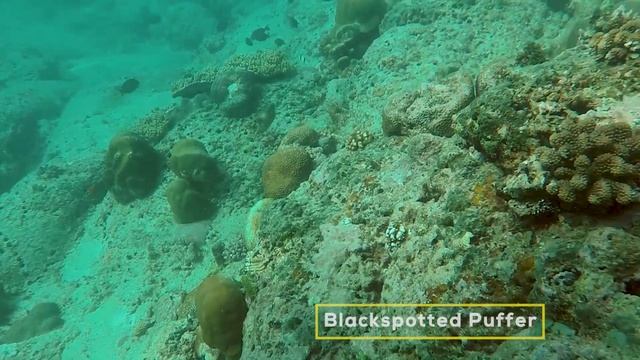 Beginners Scuba Diving (Mauritius) - Diving World