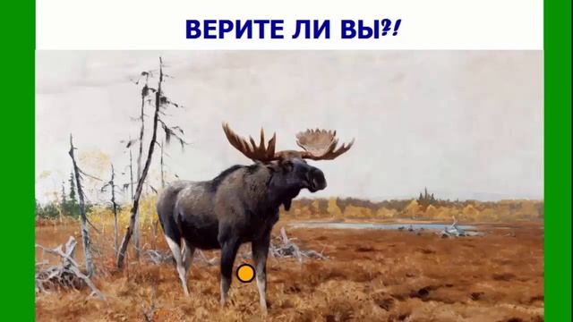 STEAM-урок "Подарки и тайны болот" смотреть онлайн