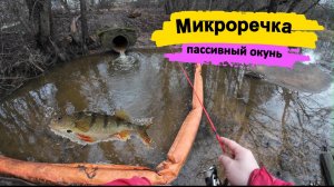 #мормышинг на Микроречке | Ловля пассивного окуня |