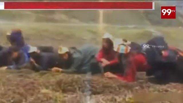 TIENS CORDYCEPS IMMUNITY BOOSTER PRODUCT смотреть онлайн