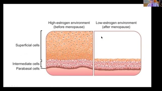Replay - Optimize your Patients Immunity смотреть онлайн