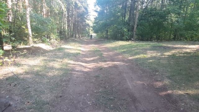 1# Гриб смотреть онлайн