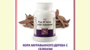 Кора Муравьиного Дерева