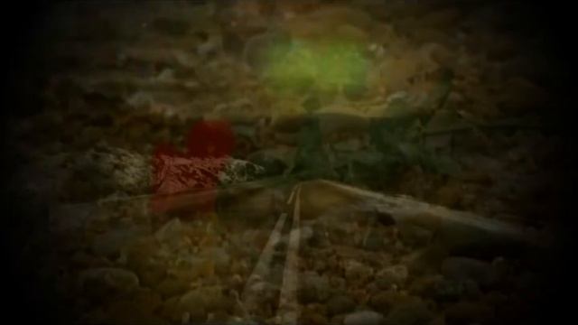 Где ты Лето?