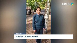 Борьба с каракуртом