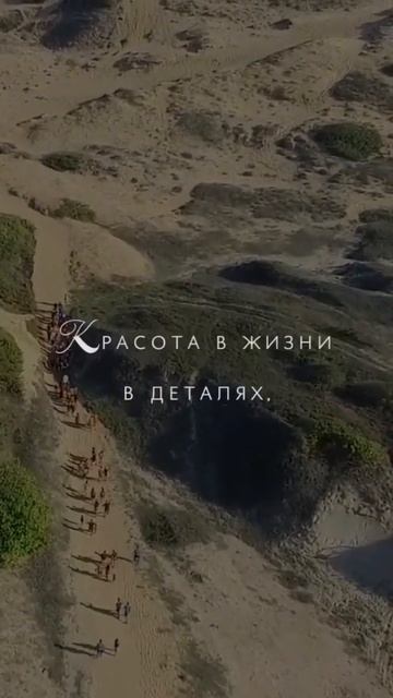 Счастье всегда неожиданно #мудрость #поэзия #стихи #стихотворение #чтениестихов #любовь #чувства смотреть онлайн