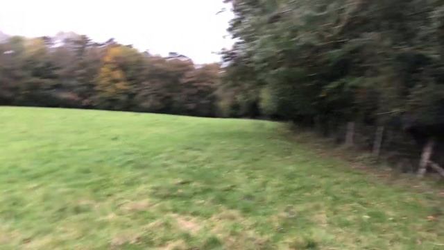 Белый олень смотреть онлайн