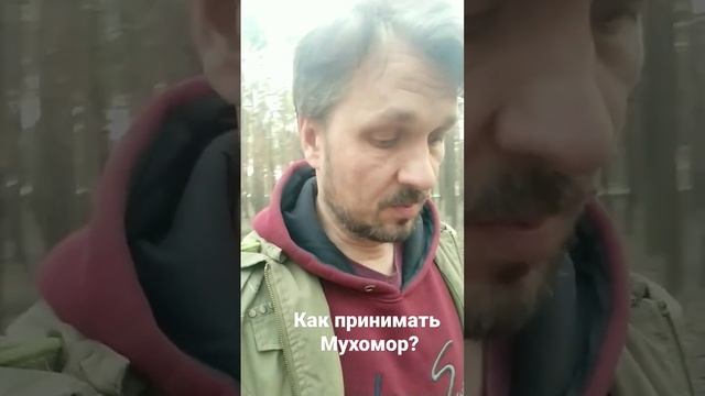 Как принимать мухомор и в каких количествах ? смотреть онлайн