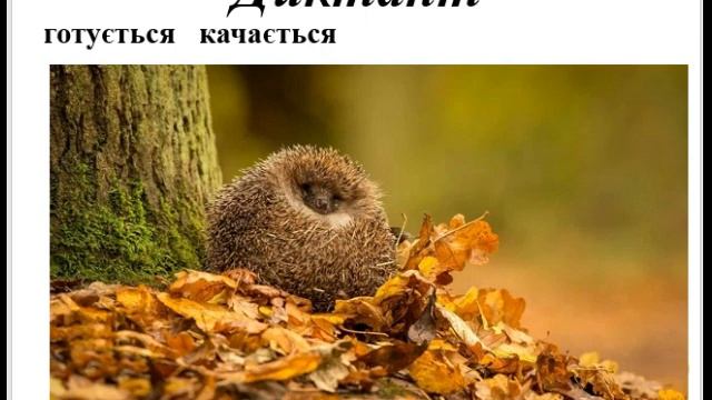 16. Навчаюся визначати частини тексту-розповіді будувати текст.