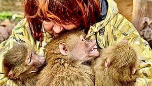 Мама с Маней и Степой идет гулять в зеленый вольер, а вокруг люди так рады увидеть своих любимок!