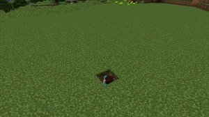 какао какао мем майнкрафт