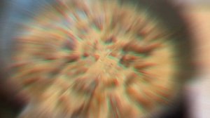 Вешенки со сливками в сковороде за 5 минут