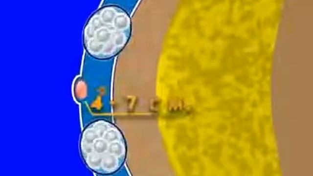 Массажный пояс Tiens смотреть онлайн