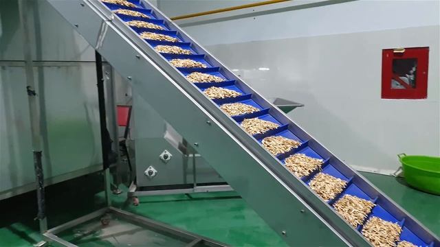OS - 1000 Belt Type Roasting Machine / OS - 1000 حزام نوع آلة تحميص