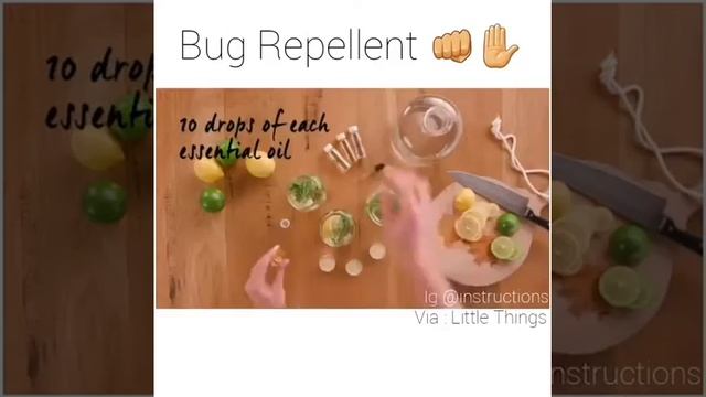 DIY: The Best Mosquito Repellent Spray (Organic & Safe!)