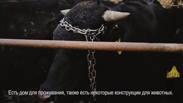 I'm looking for investors/ Ищу инвесторов смотреть онлайн