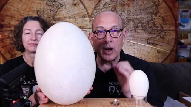 Giant Elephant Bird, 10ft. Ape, American Lions and Humongous Beavers - Massive Mammals