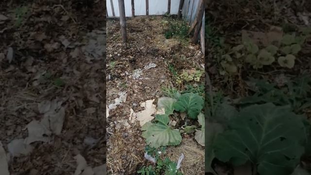 урожай собран, а работа кипит.