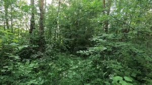 МАСХАЛАТ ДЛЯ ОХОТЫ СВОИМИ РУКАМИ ЗА КОПЕЙКИ.