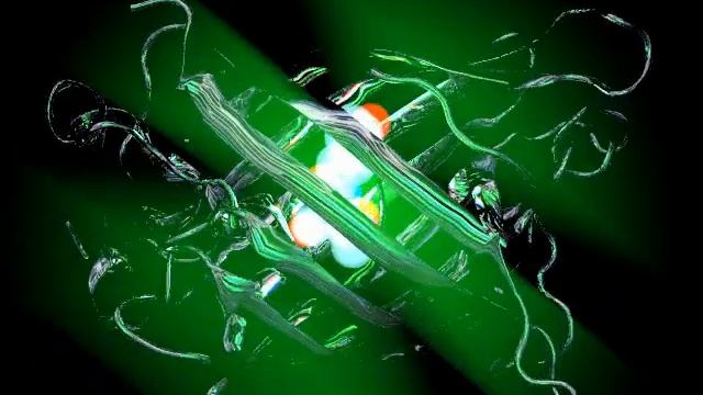Green Fluorescent Protein GFP from Aequorea victoria