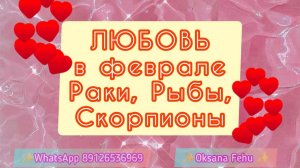 Любовная сфера в феврале у Раков, Скорпионов, Рыбы? Чего ожидать?