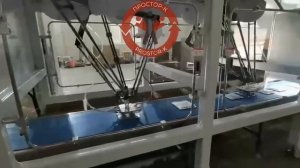 Линия упаковки в короба от компании Простор-К