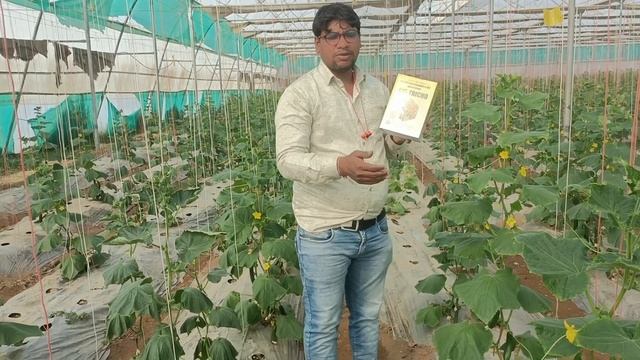 ट्राइकोडर्मा हरजेनियम 1%wp#सभी फंगस जनित रोगों का एक ही इलाज ट्राइकोडर्मा# trichoderma harzianum1%w смотреть онлайн