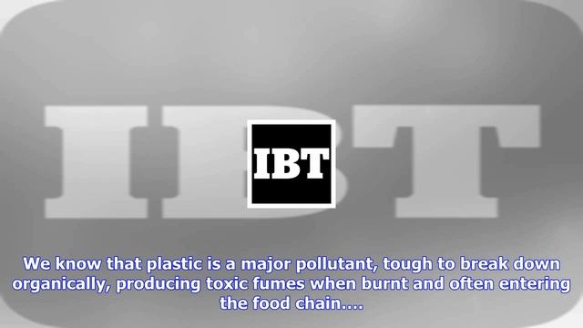 Breaking News  plastic-eating fungus found in pakistan garbage dump