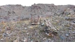 Шикори Кабк Keklik avi tuzakla Охота на куропатка Partridge hunting Kabk shikar شکار کبک Chukar avi