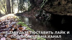 Накормил тёщу сладким...Интересные истории из жизни. Аудиорассказ
