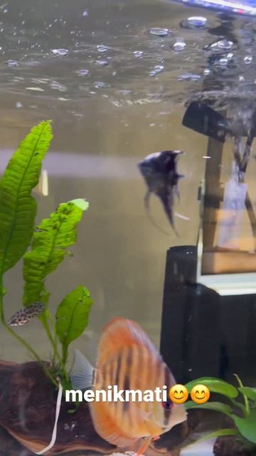 June 1, 2023 смотреть онлайн