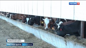 На животноводческих фермах работа не останавливается ни на минуту