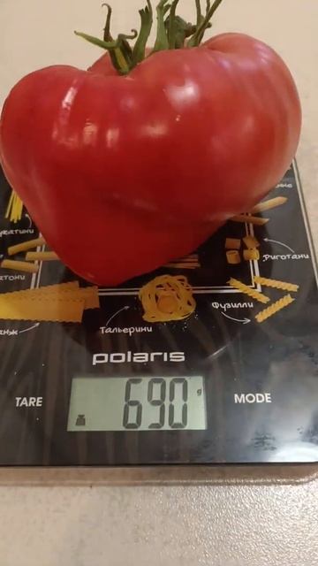 Первый помидор! смотреть онлайн