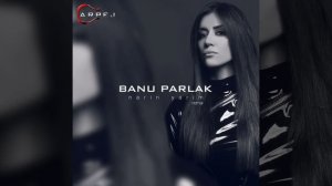 Narin Yarim (Remix)