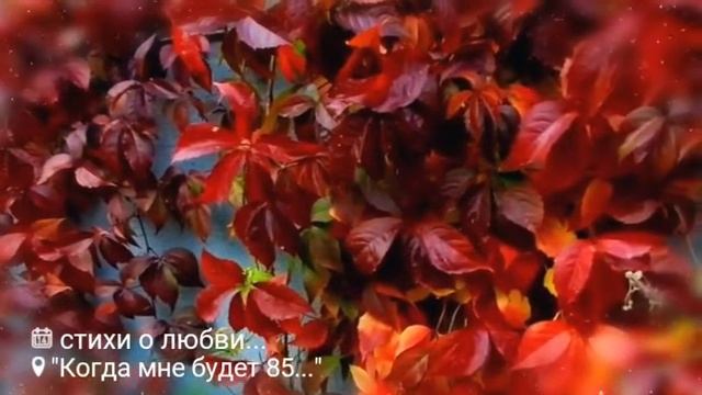 Строки о любви на осенних листьях... смотреть онлайн