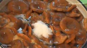 Как приготовить грибы рыжики