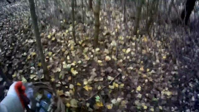 Первая тихая охота 2020 года Красные в городе Разведка боем по благородным грибам в лесу Выпуск 5