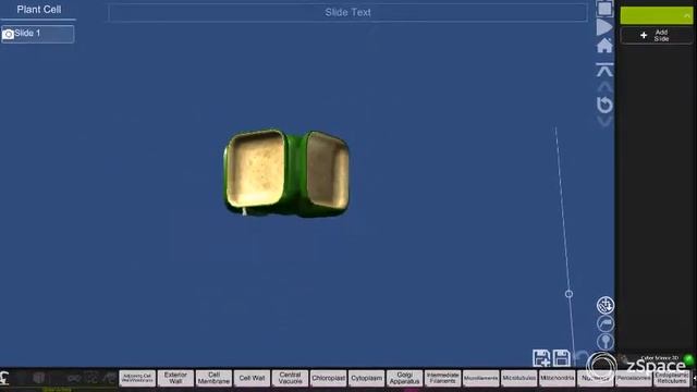 Растителна клетка смотреть онлайн